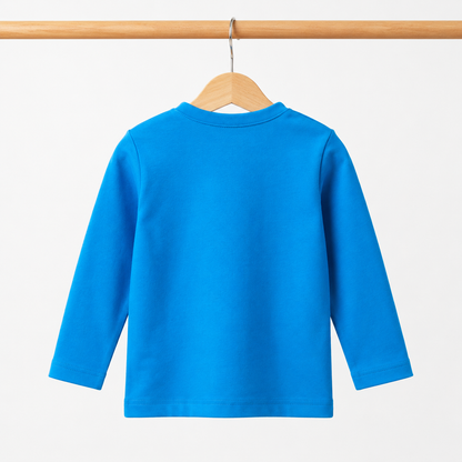 Baby Boys Electric Blue "i09 Bunny Natural" 3D Pom-Pom Bear Long Sleeve Top & Sage Green Drawstring Pants Set